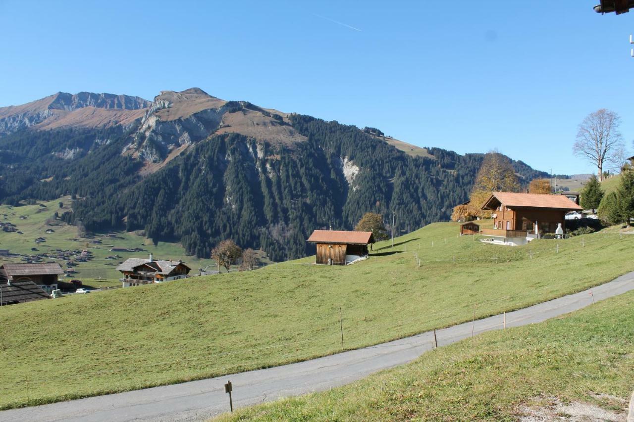 Chalet Weissenberg Lenk Exteriér fotografie