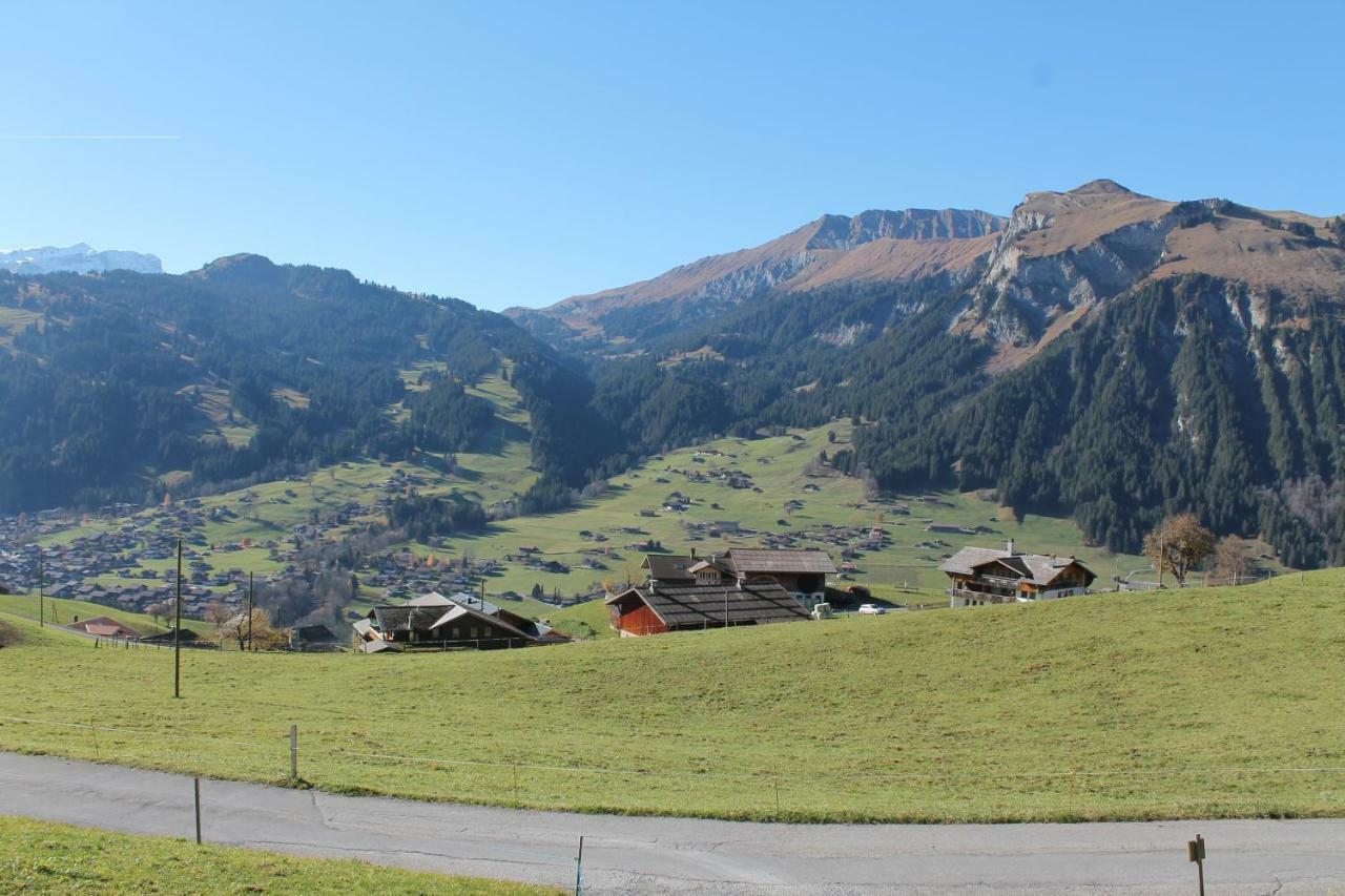 Chalet Weissenberg Lenk Exteriér fotografie