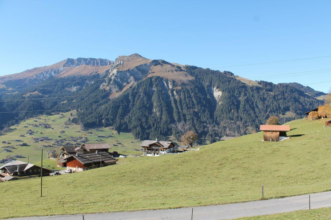 Chalet Weissenberg Lenk Exteriér fotografie