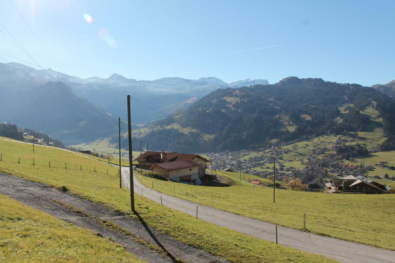 Chalet Weissenberg Lenk Exteriér fotografie